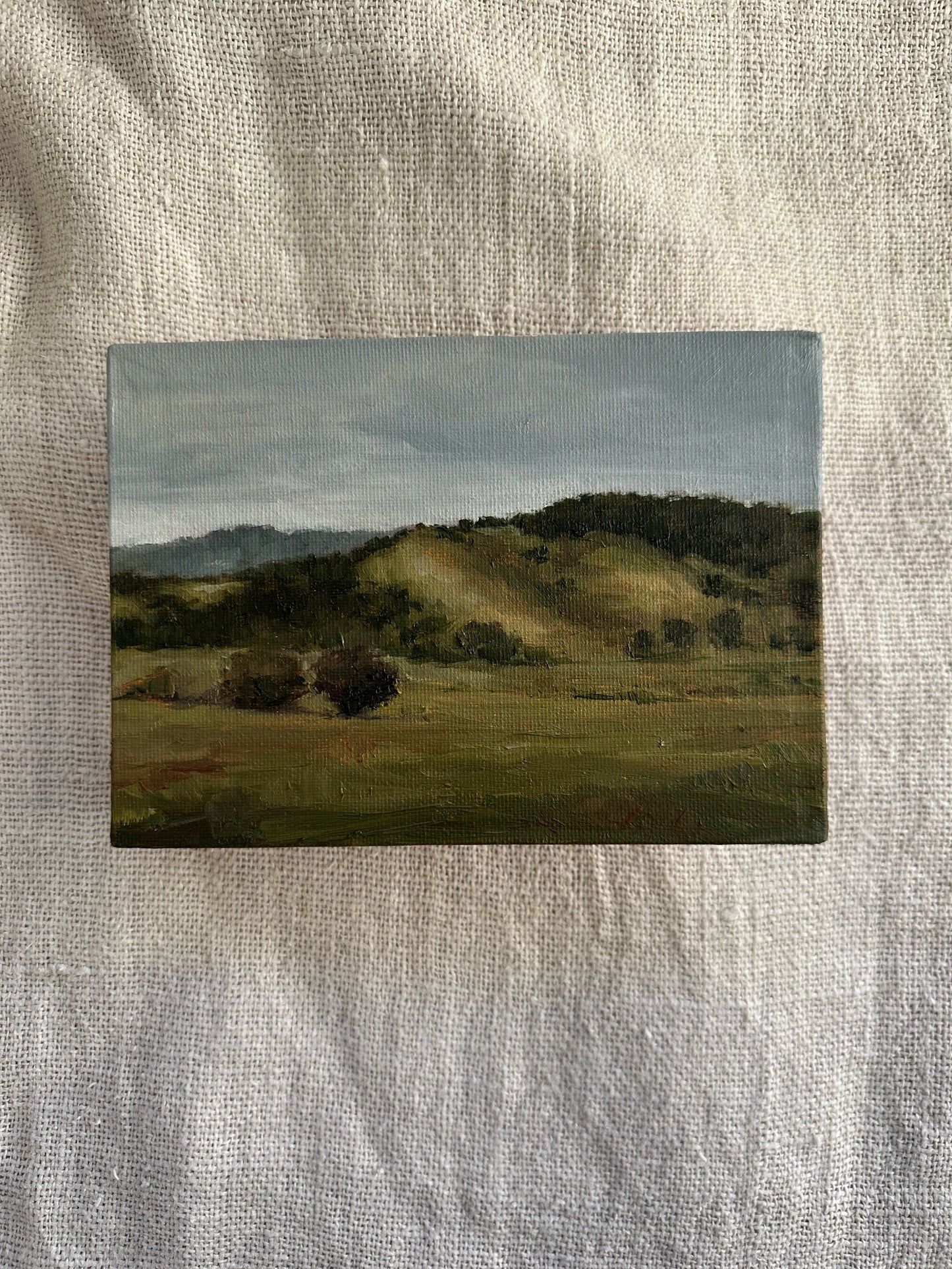 Dry Grass and Morning Air