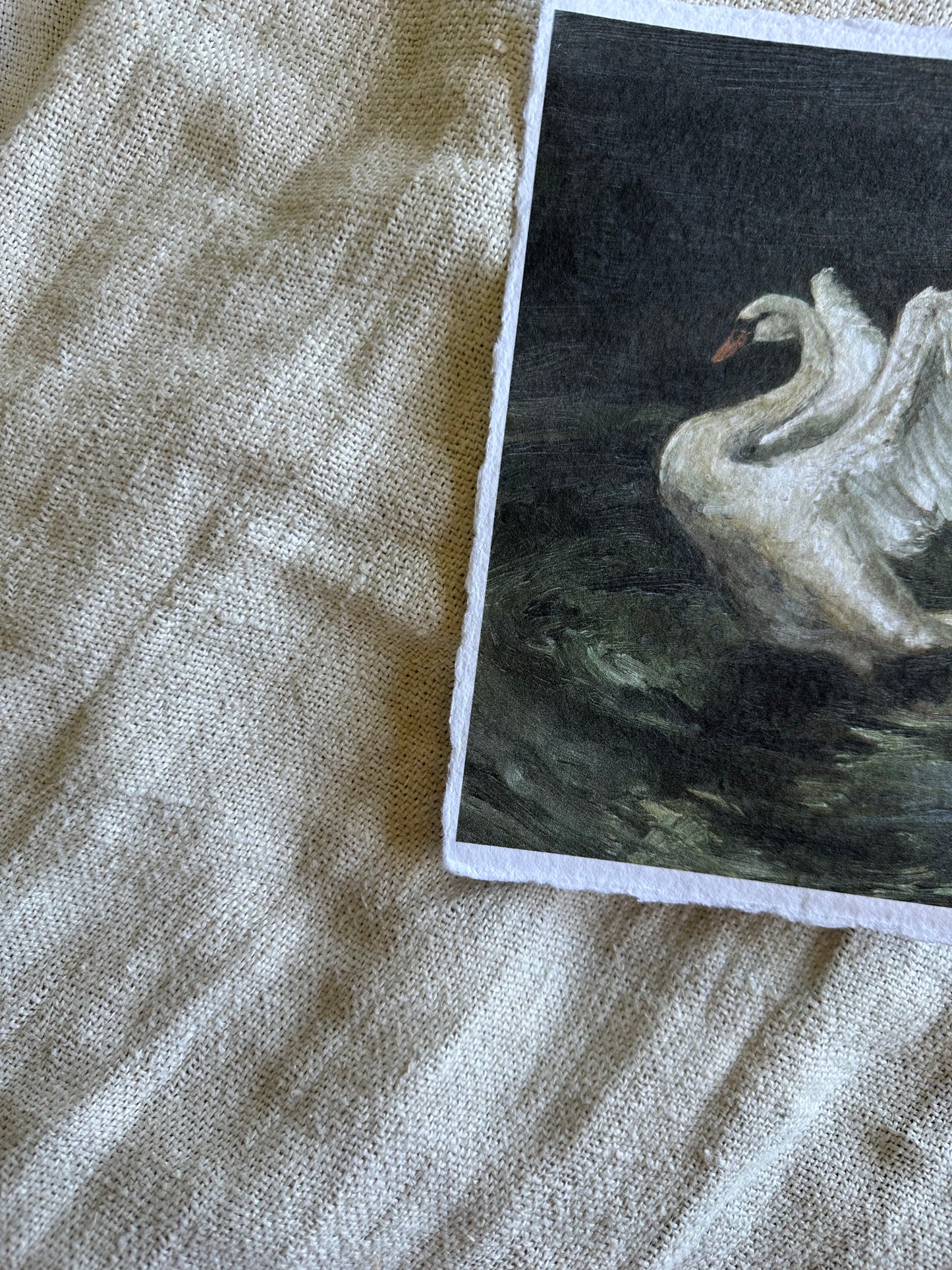 Le Cygne Handmade Paper Print