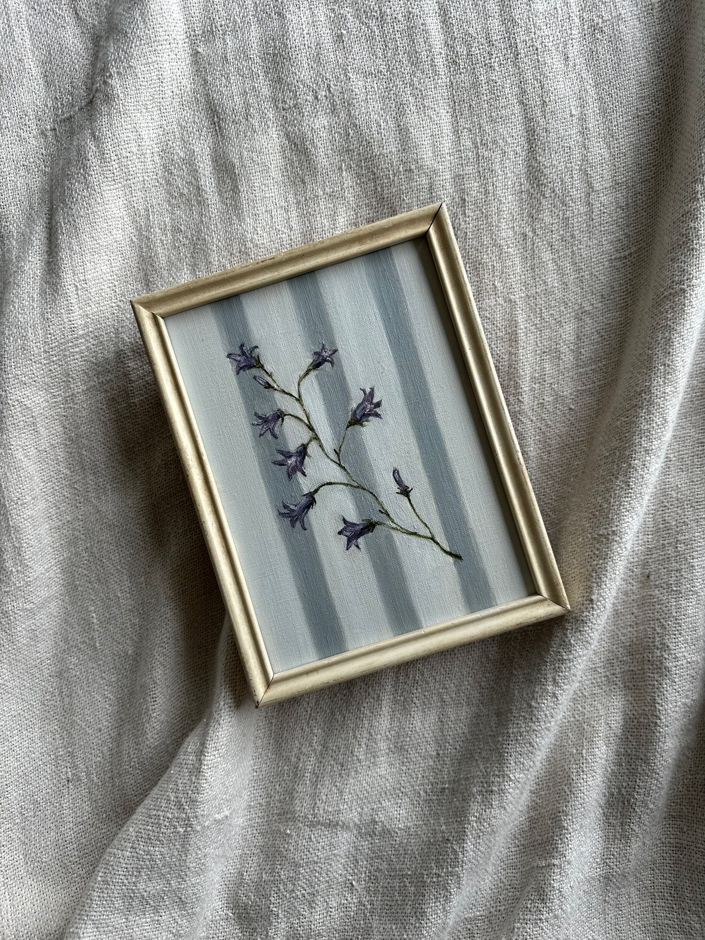 Bluebells and Stripes