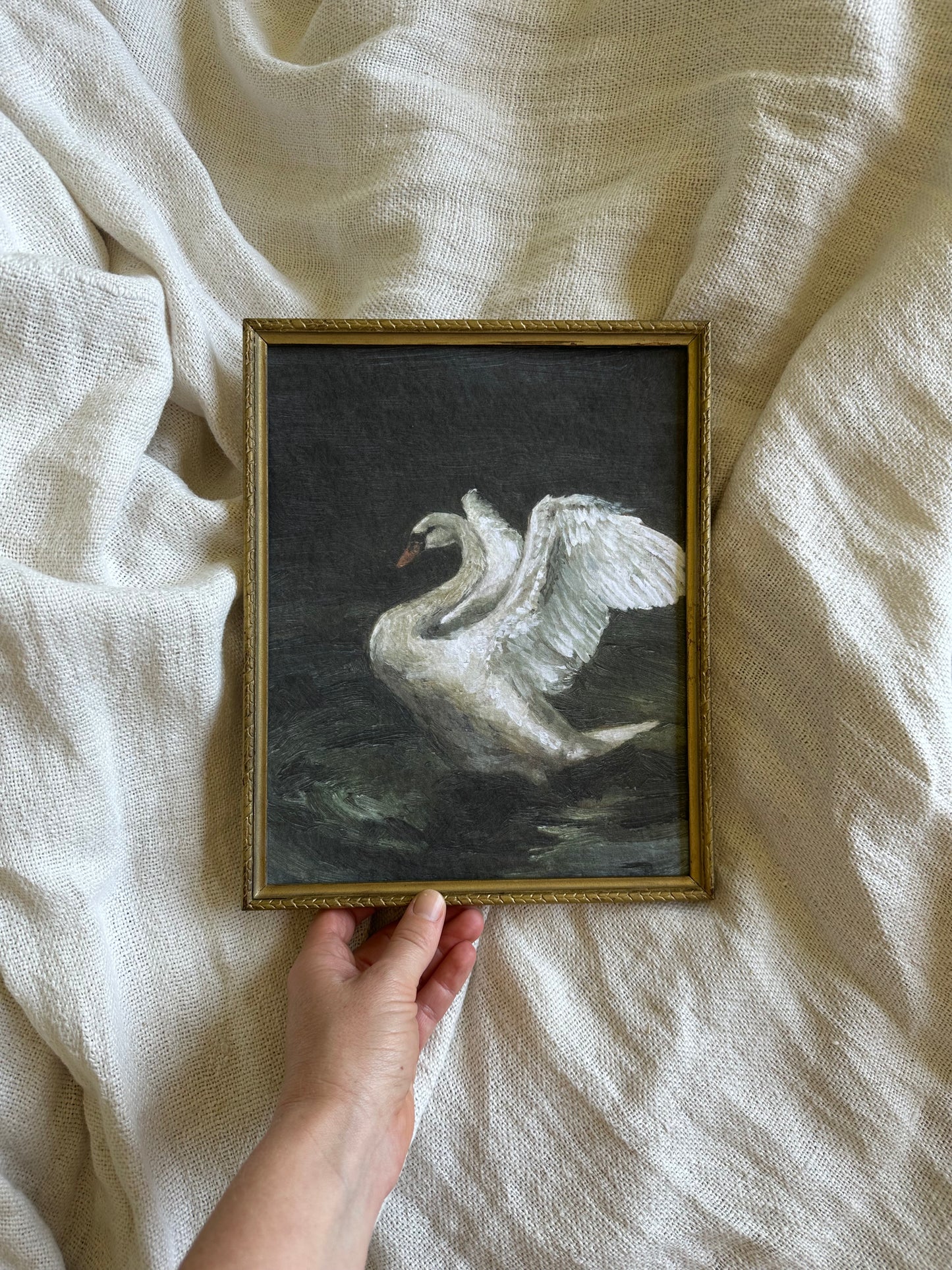 Le Cygne Framed Print