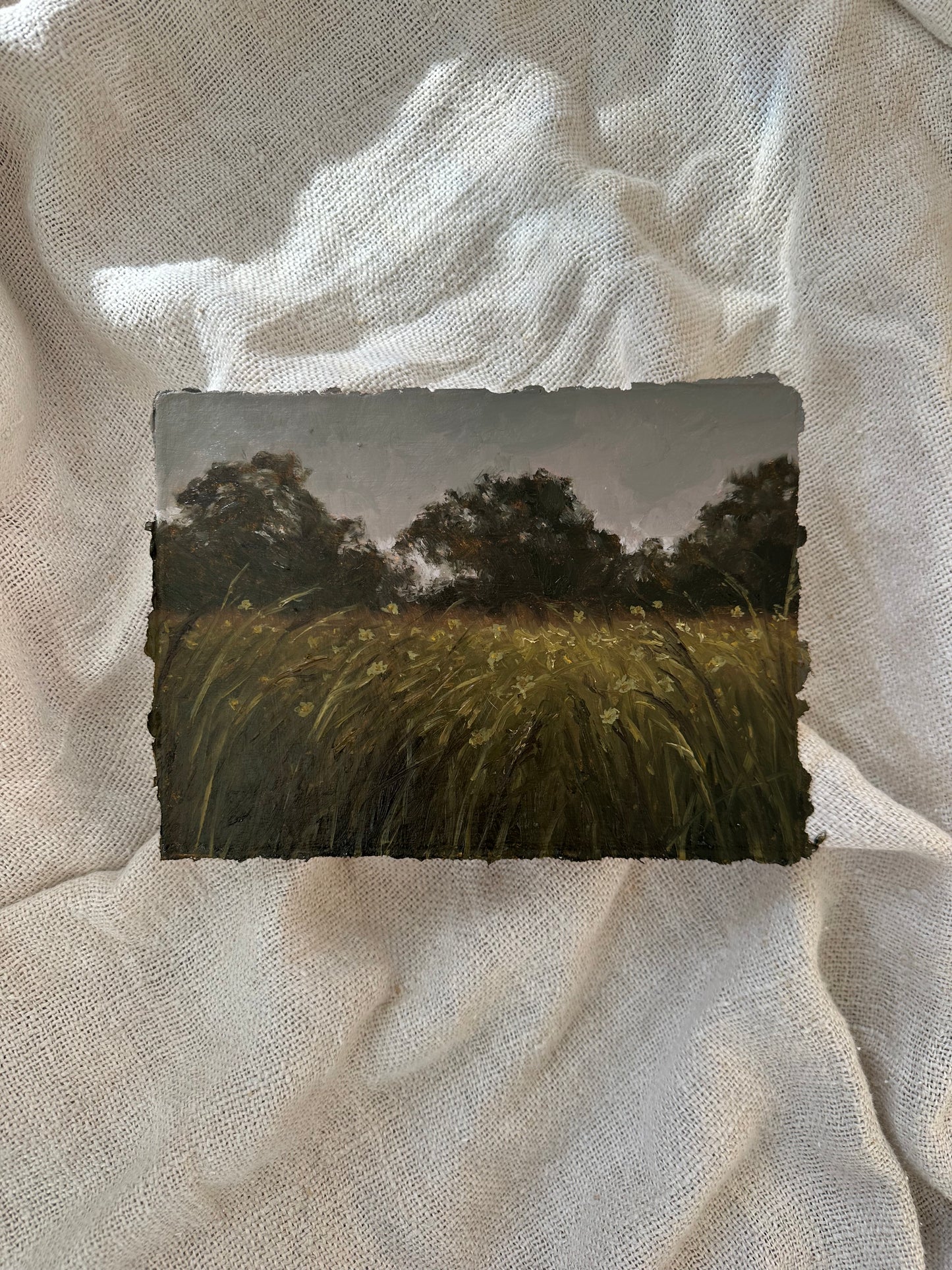 Meadow at Dusk