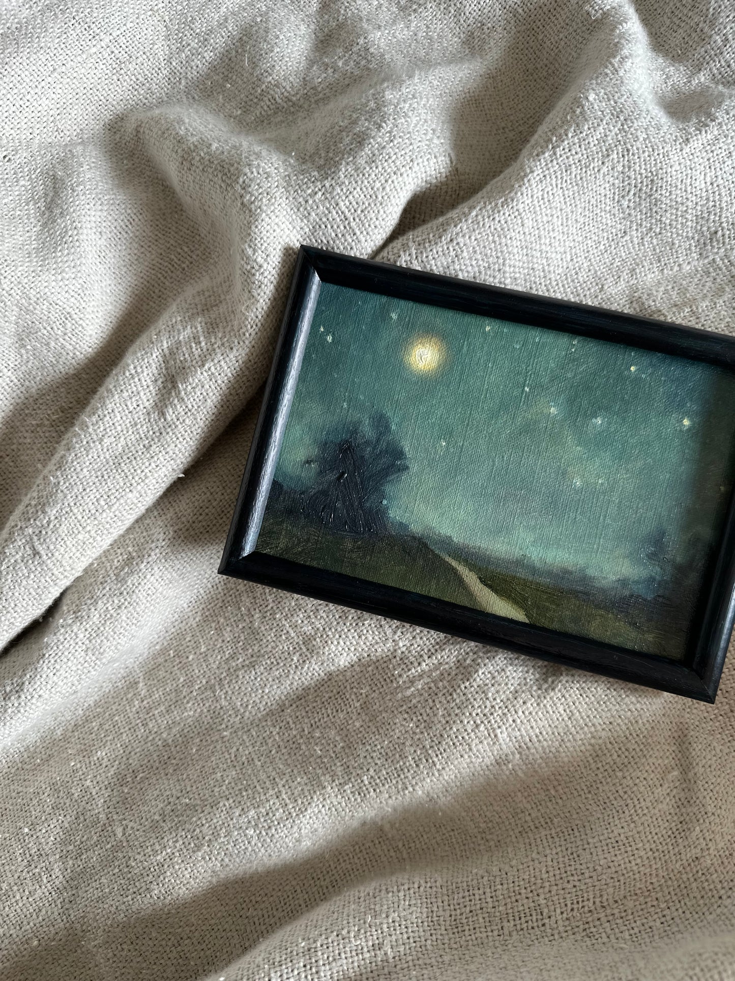 Moonlit Path