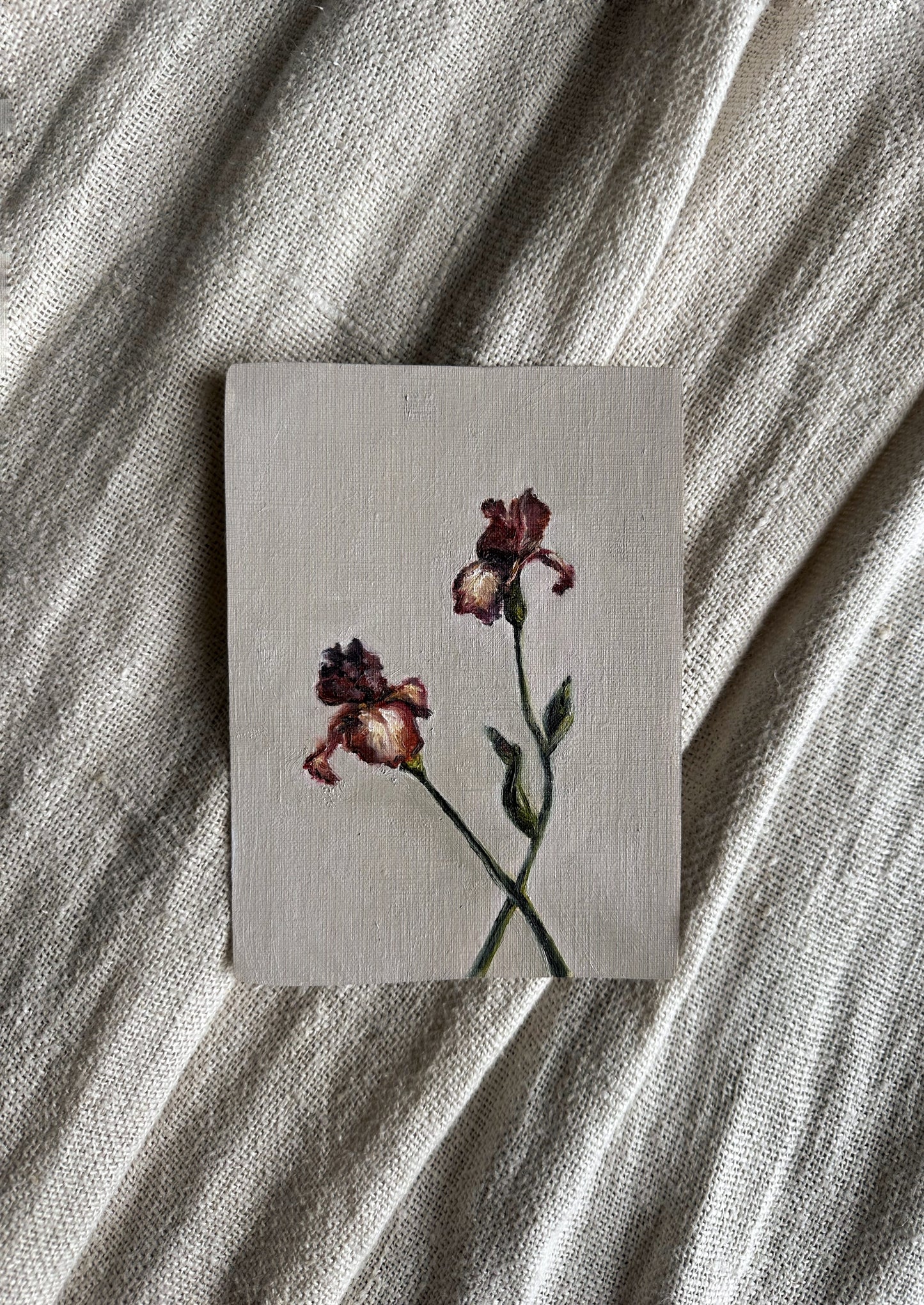 Iris Study