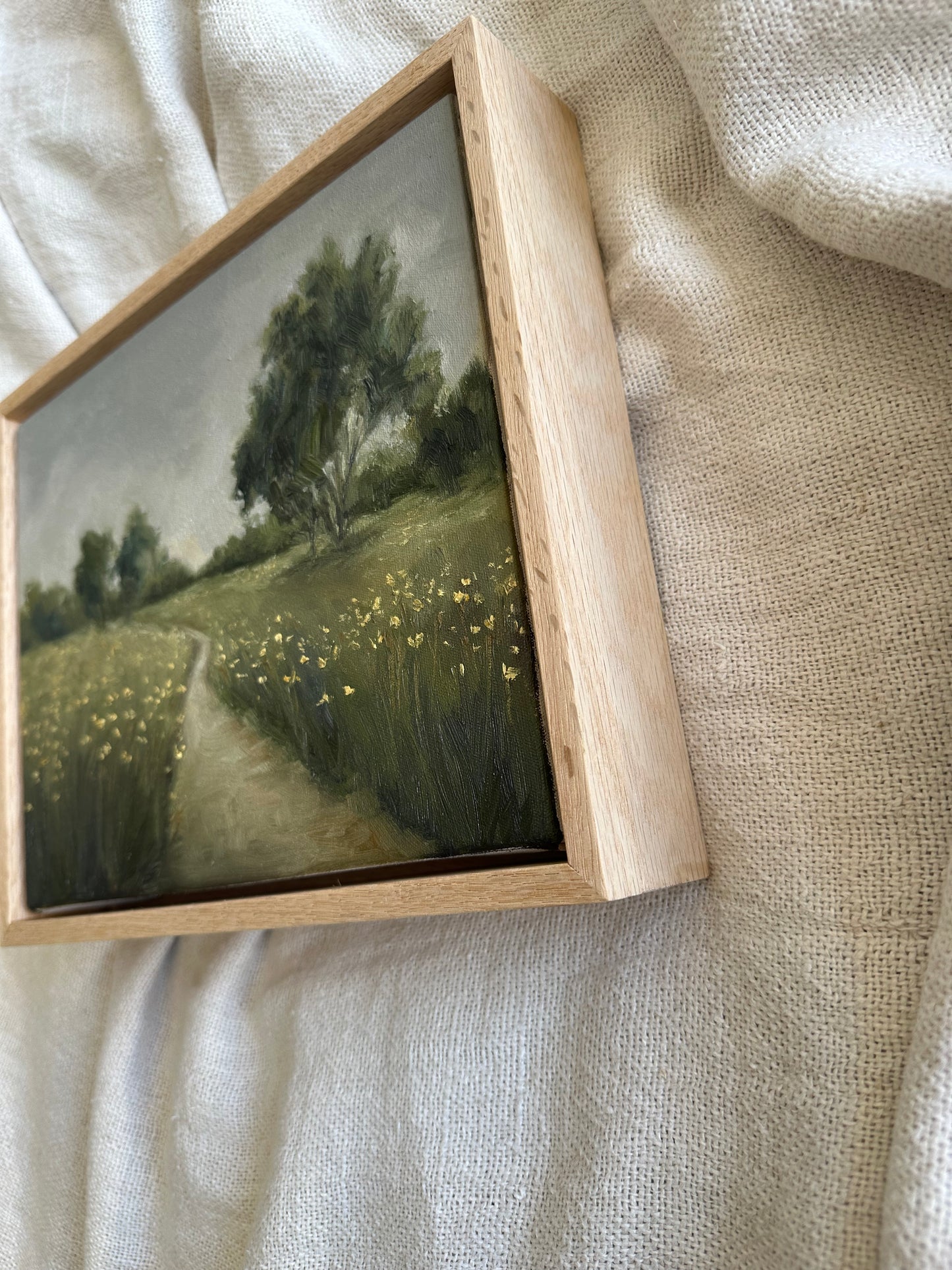 The Meadow Path