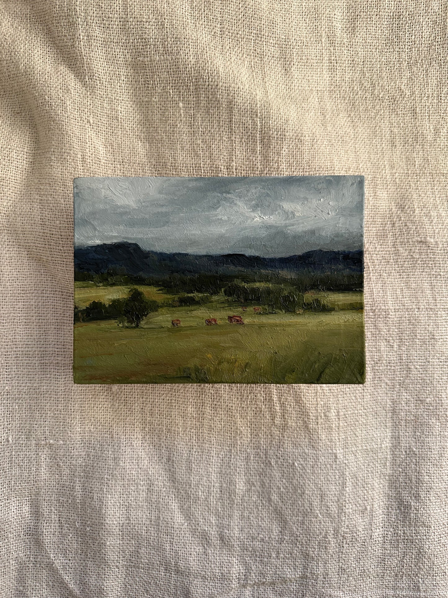 Rain Washed Meadow