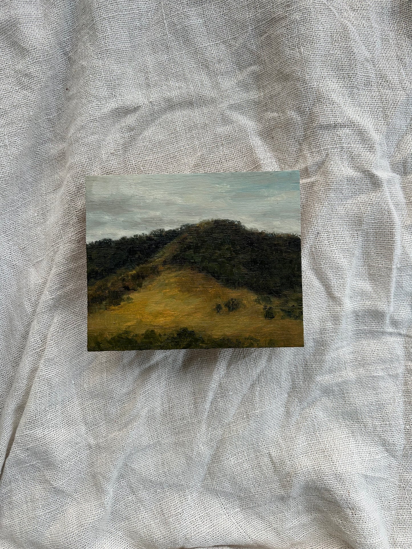 Plein Air Study in Jamberoo