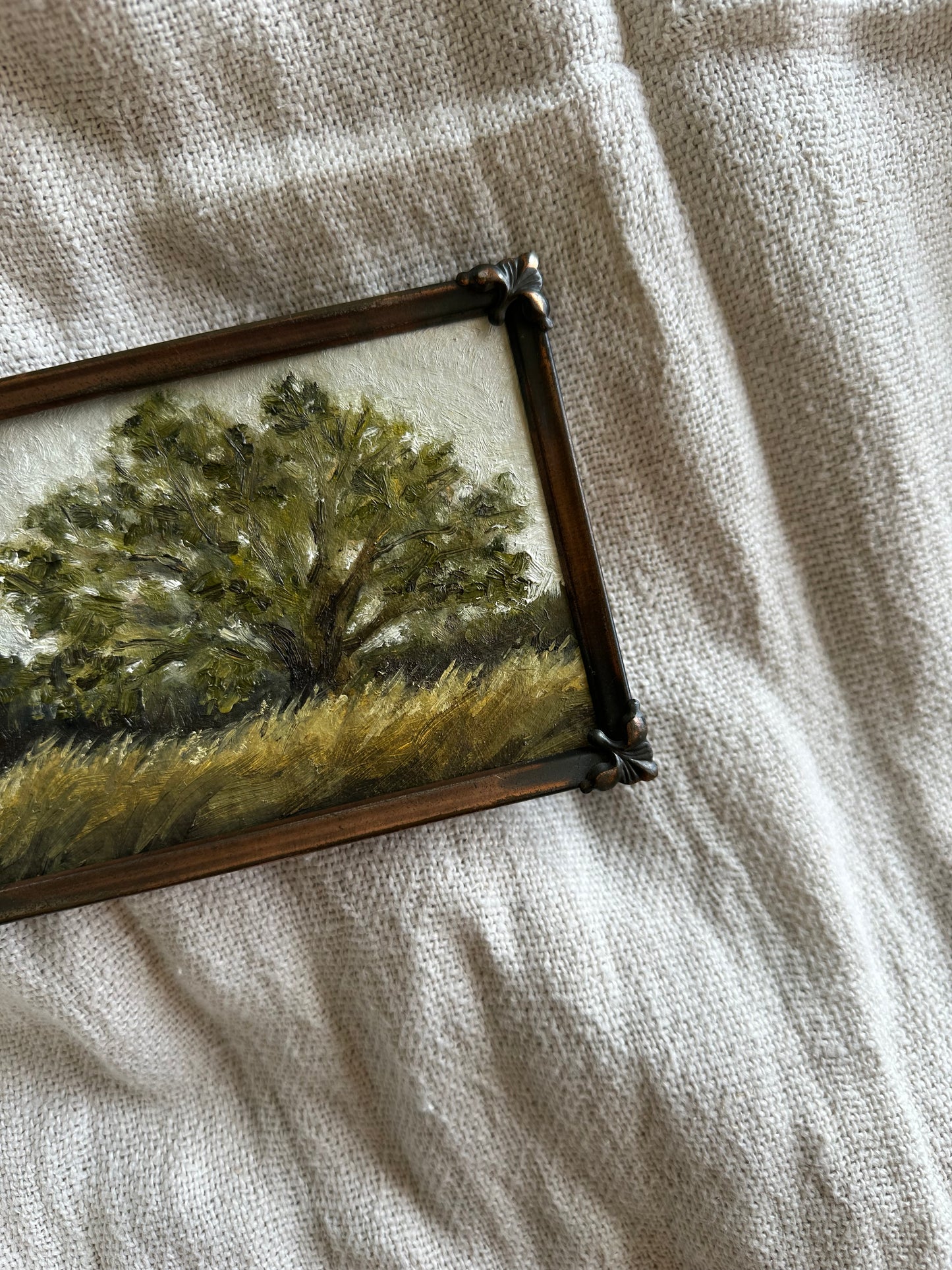 Fig Tree