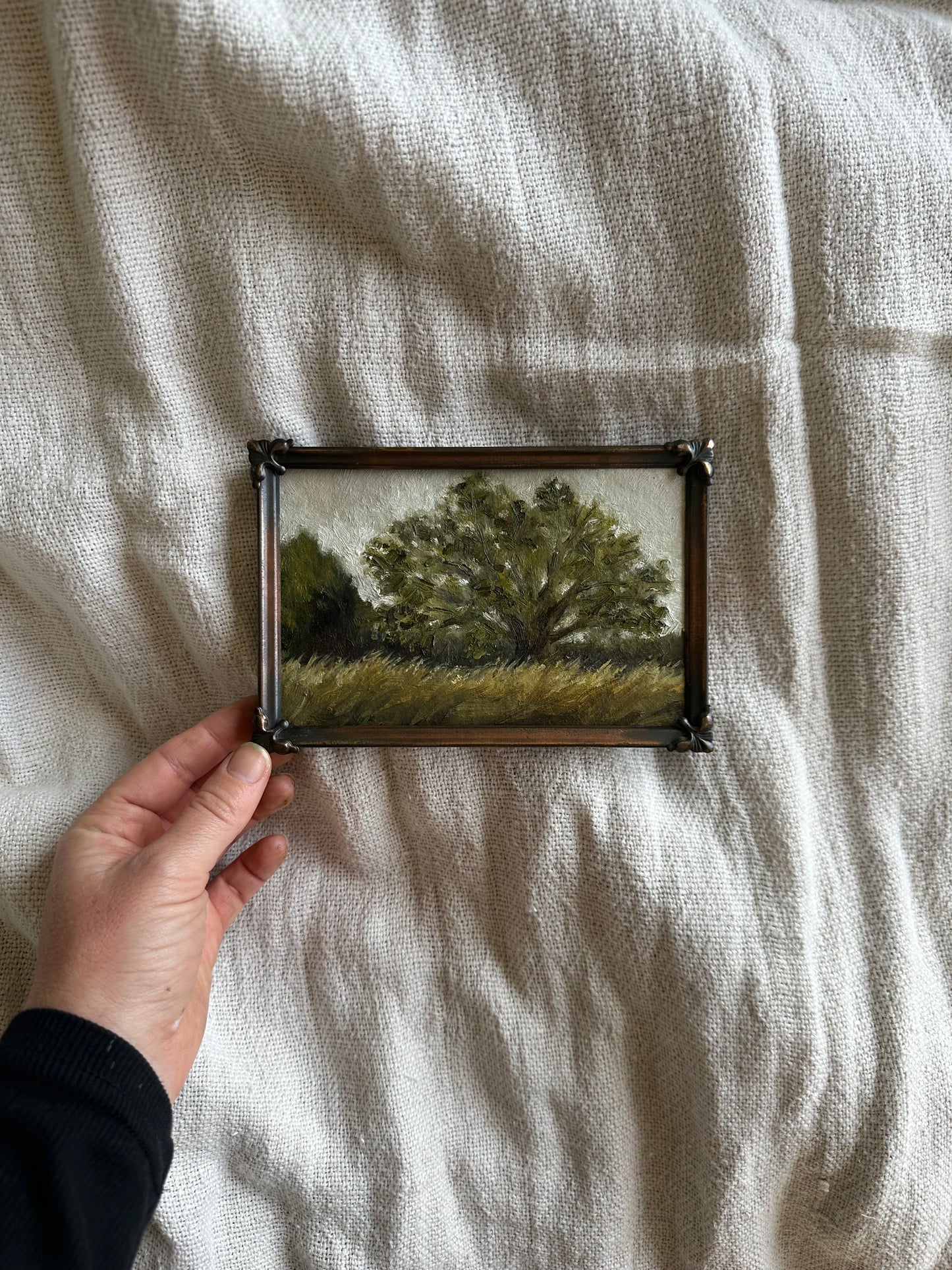 Fig Tree