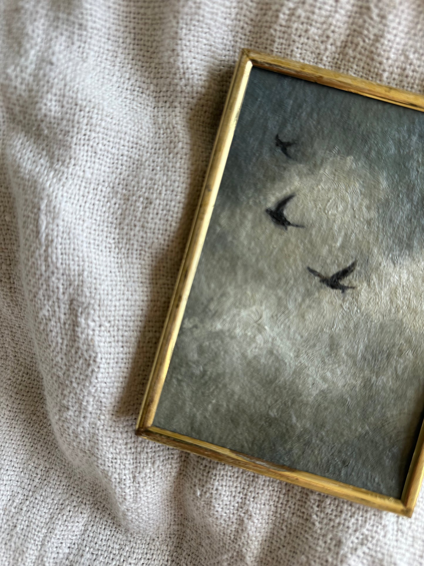 Swallows in the Sky