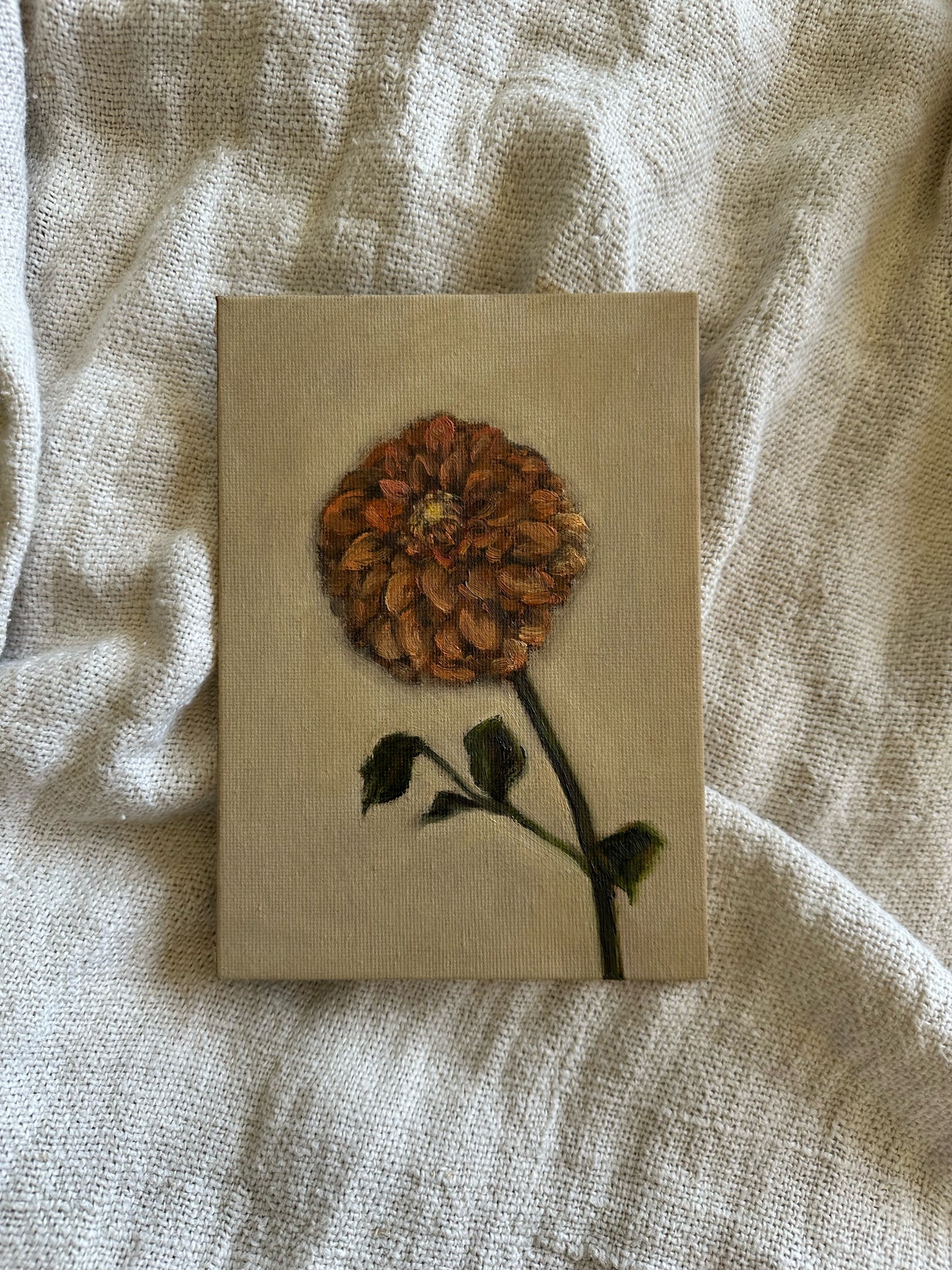 Dahlia Study II