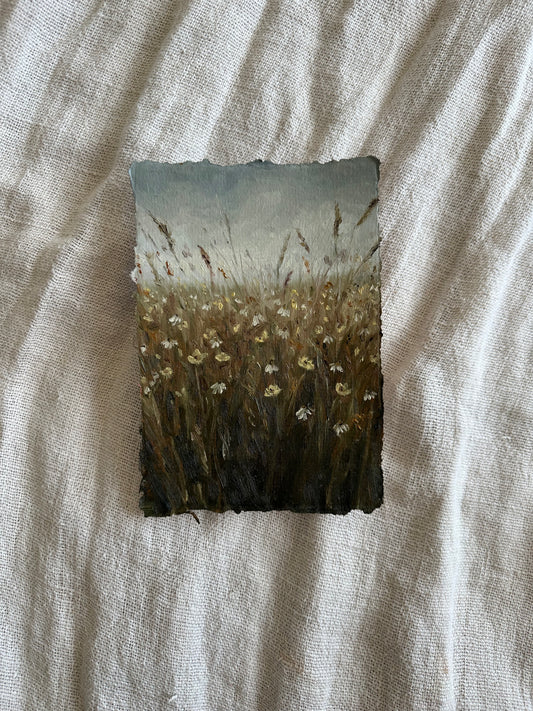 In a Field of my Dreams