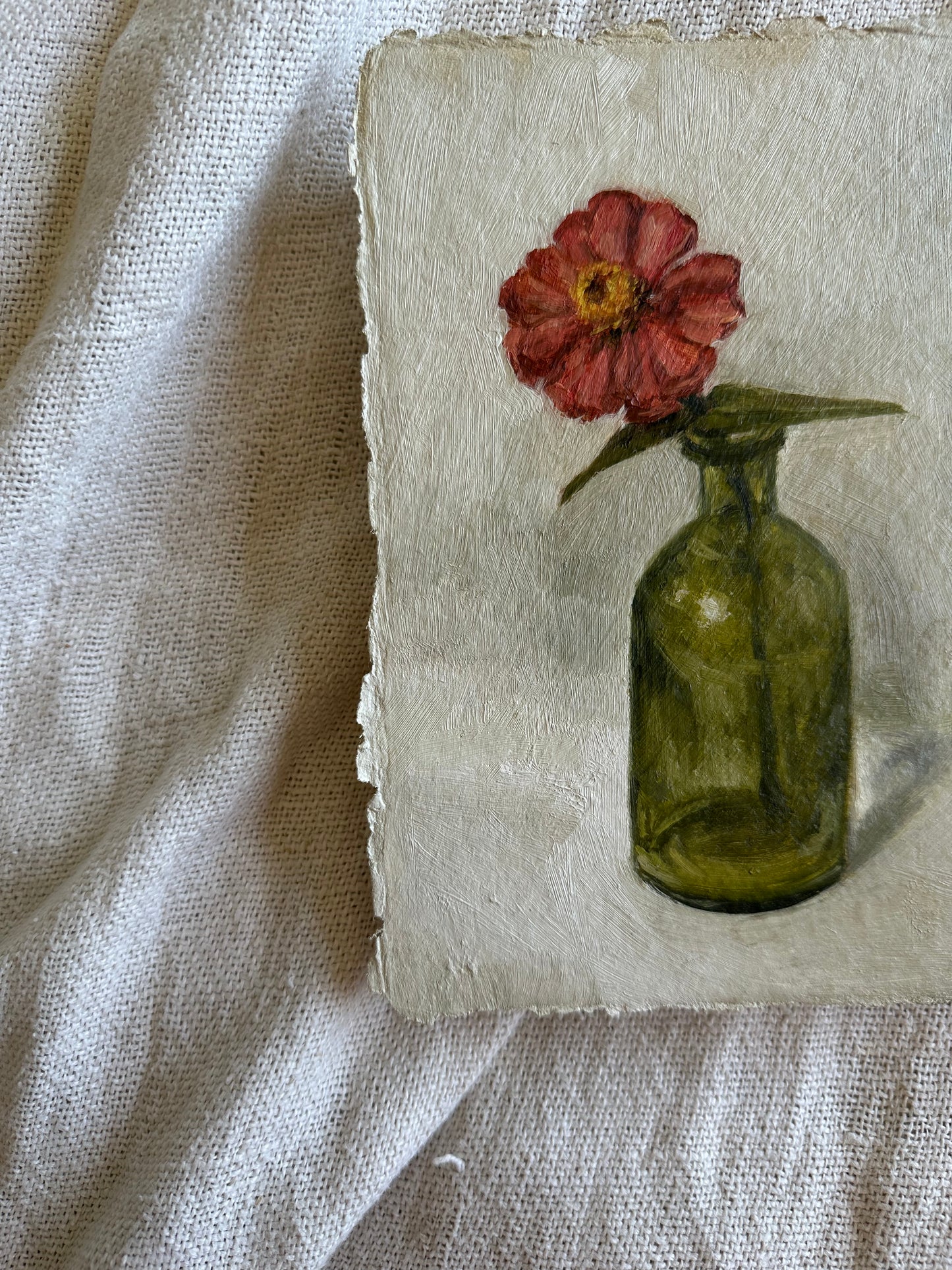 Zinnia