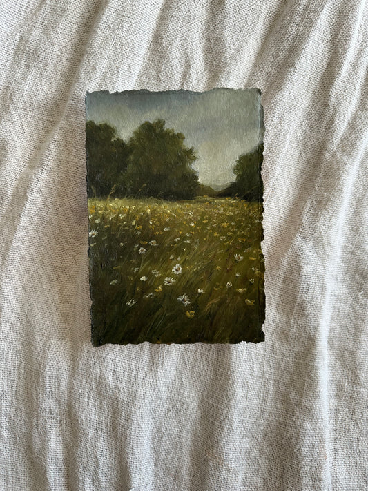 Wildflowers in France