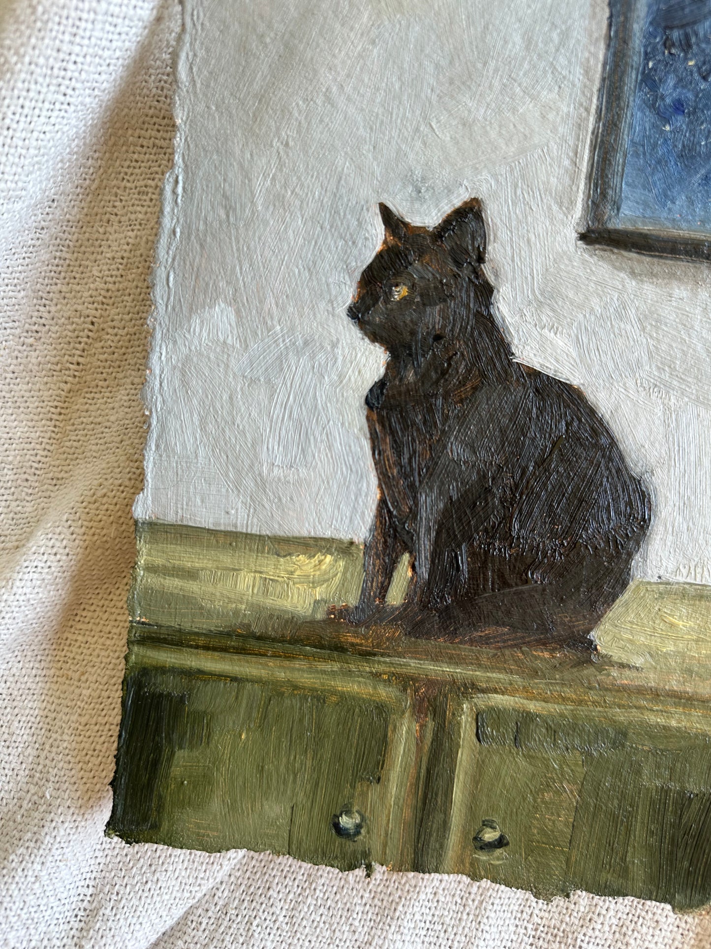 Midnight Cat