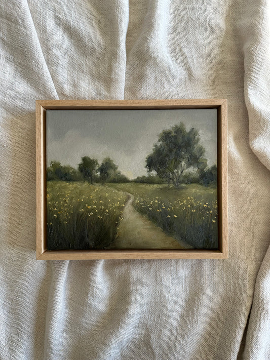 The Meadow Path