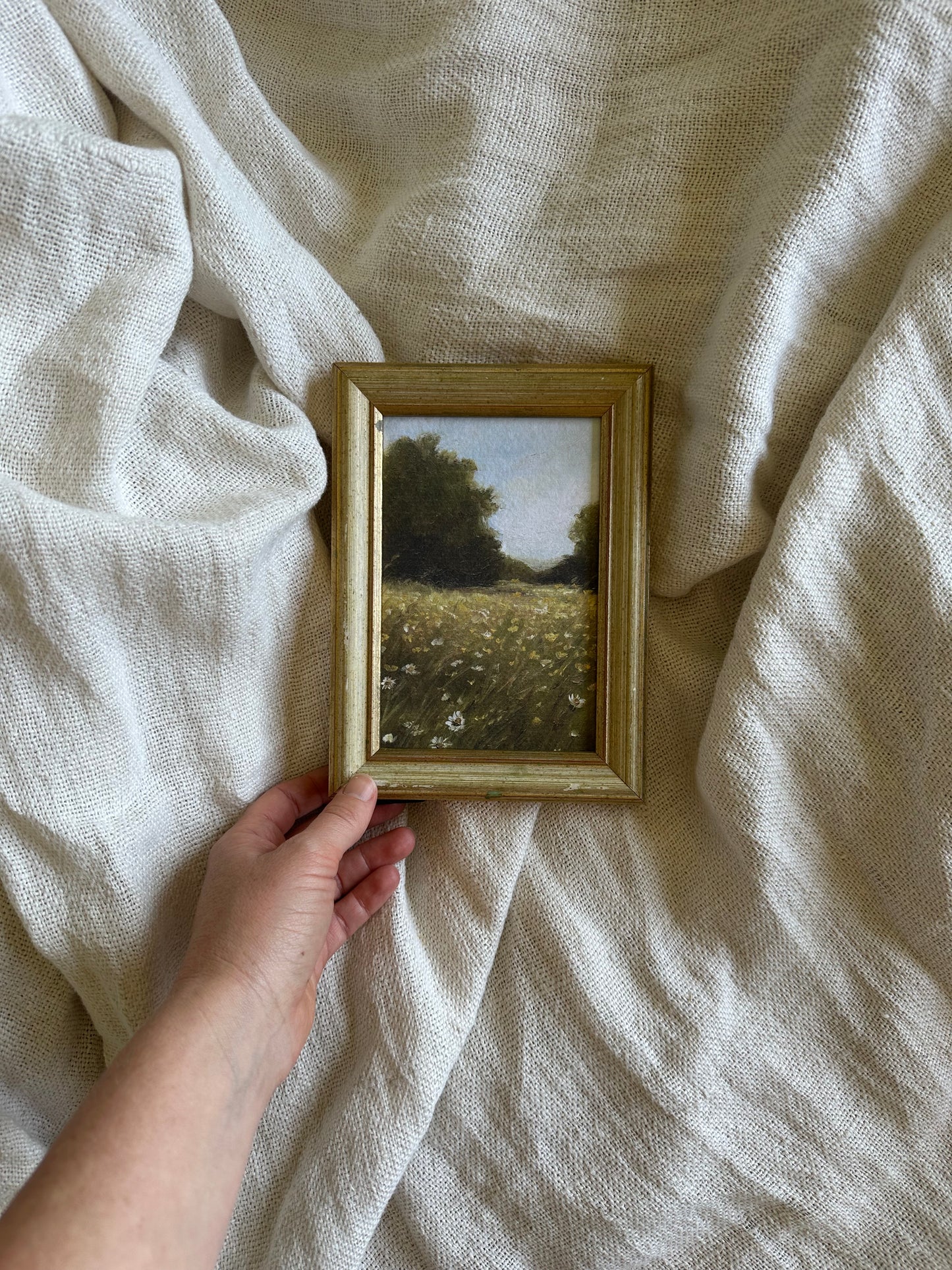 Wildflowers in France Framed Print