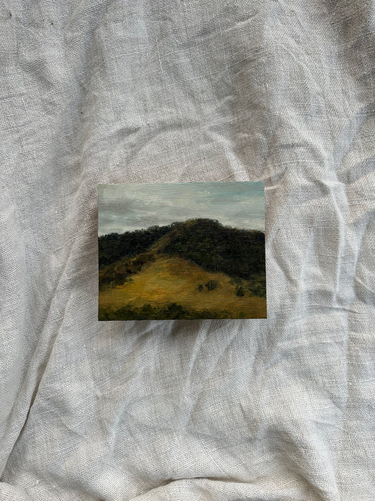 Plein Air Study in Jamberoo