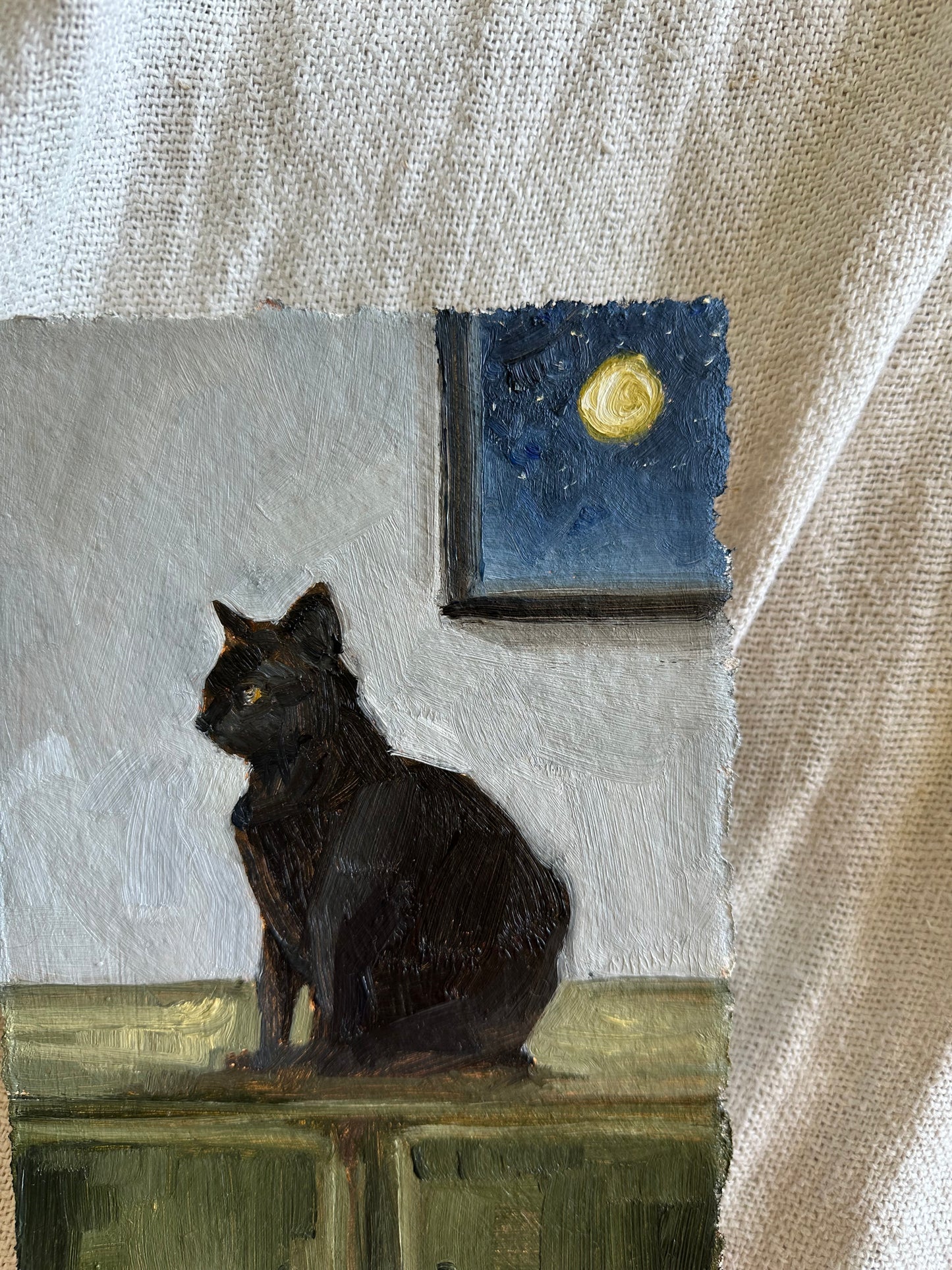 Midnight Cat