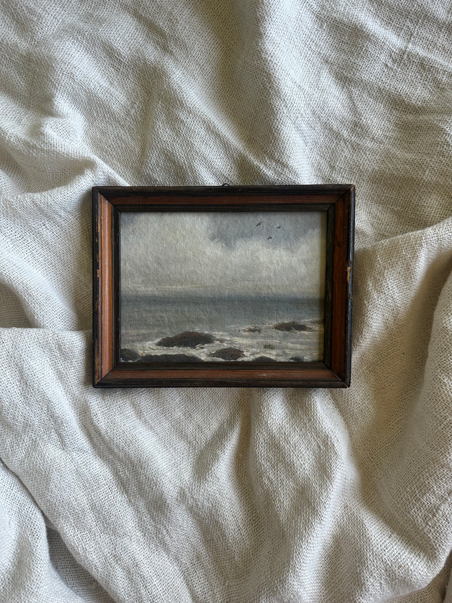 Tethered to the Wind Framed Print