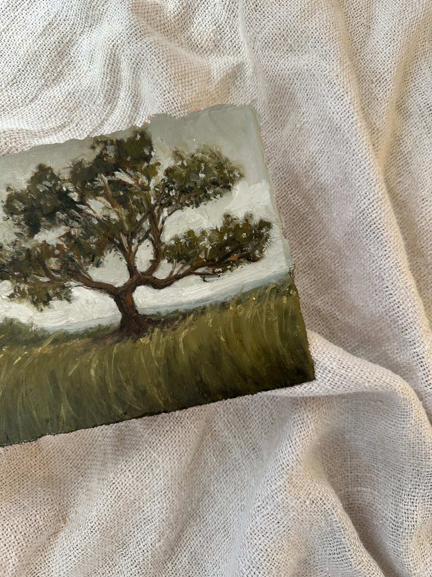 Among the Tall Grass