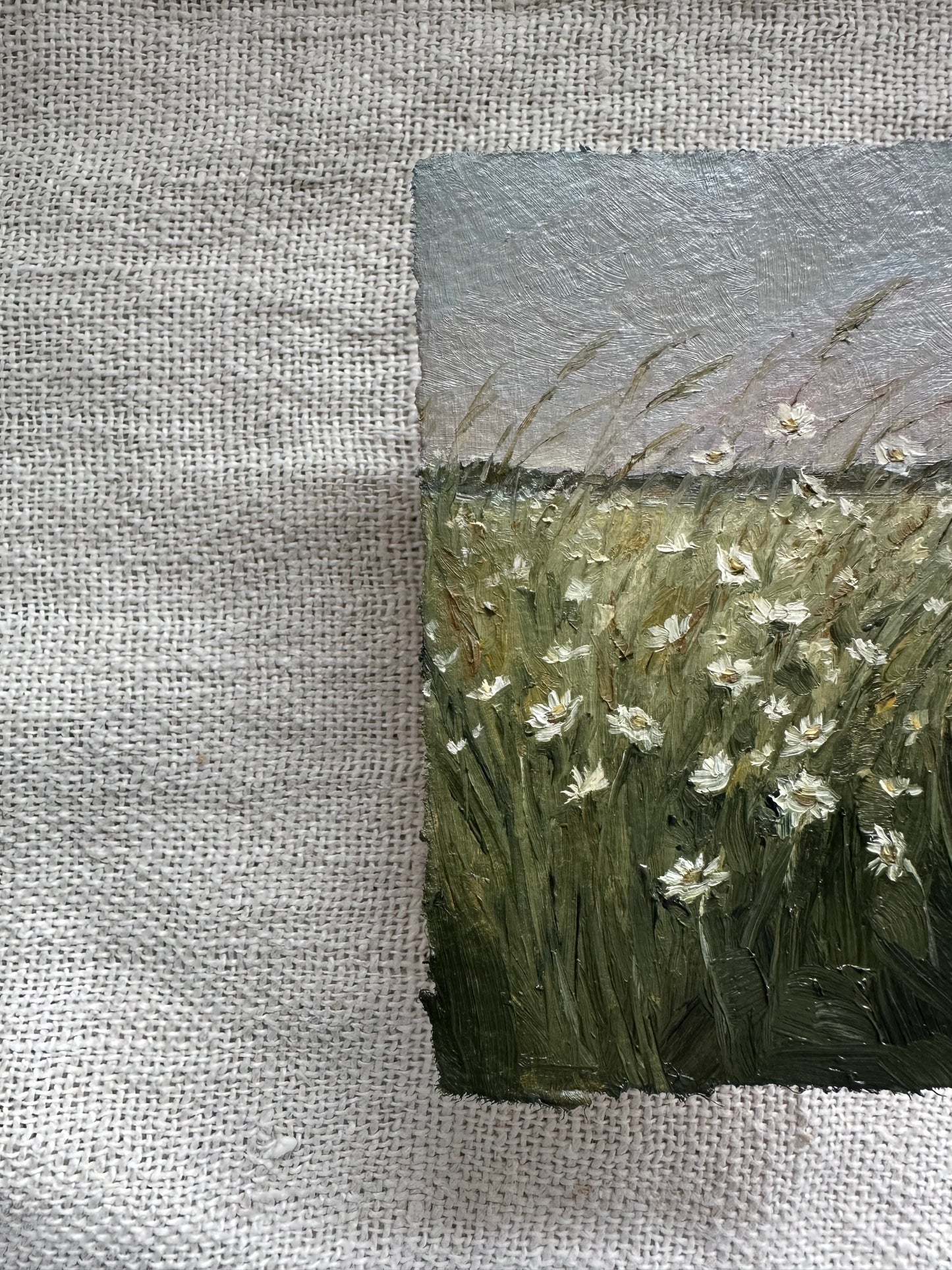 Wildflower Haze