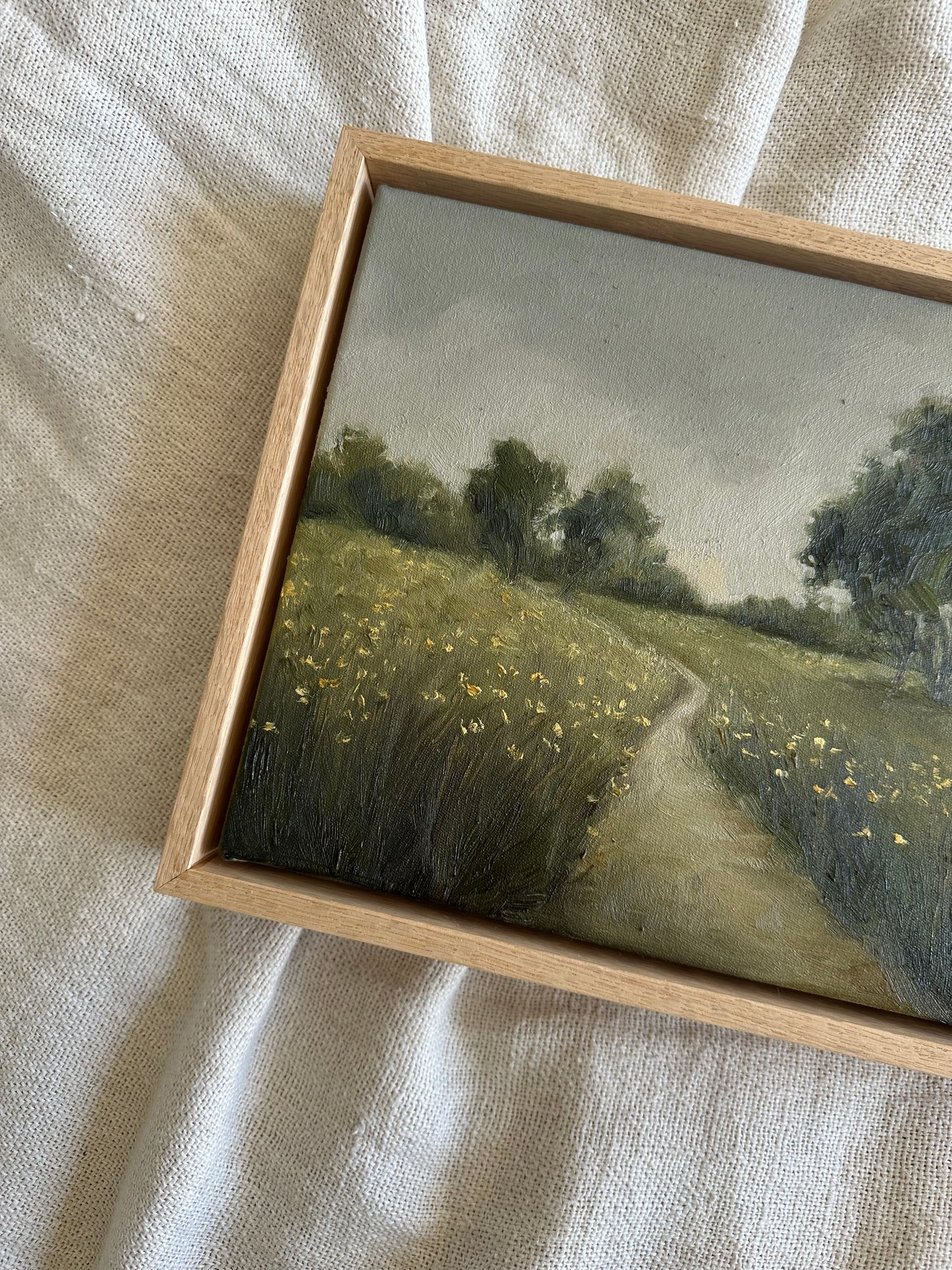 The Meadow Path