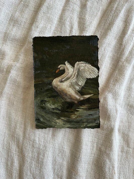 Le Cygne
