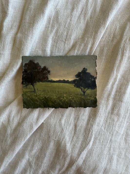 As the Sun Set