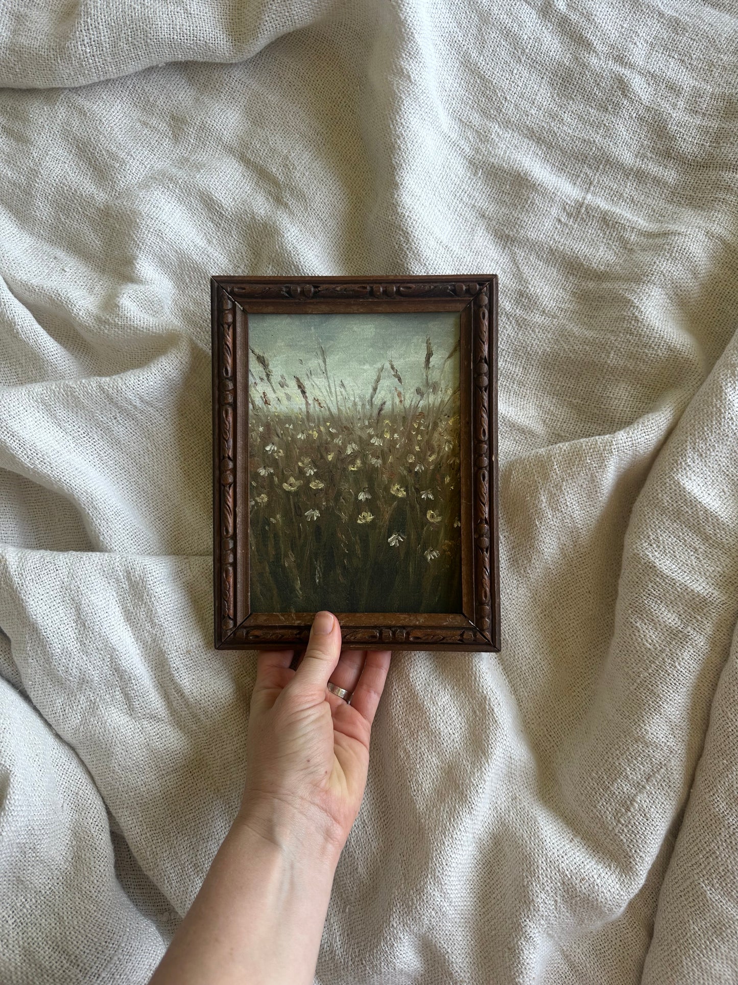In a Field of my Dreams Framed Print