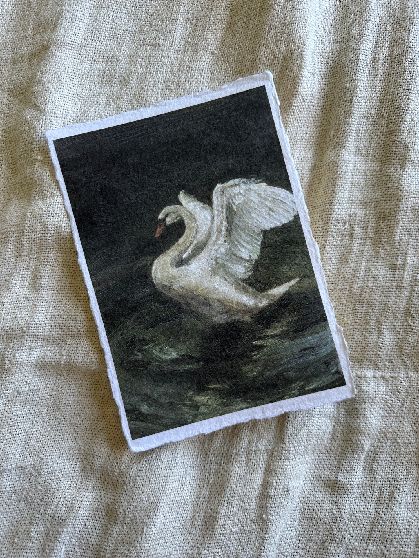 Le Cygne Handmade Paper Print