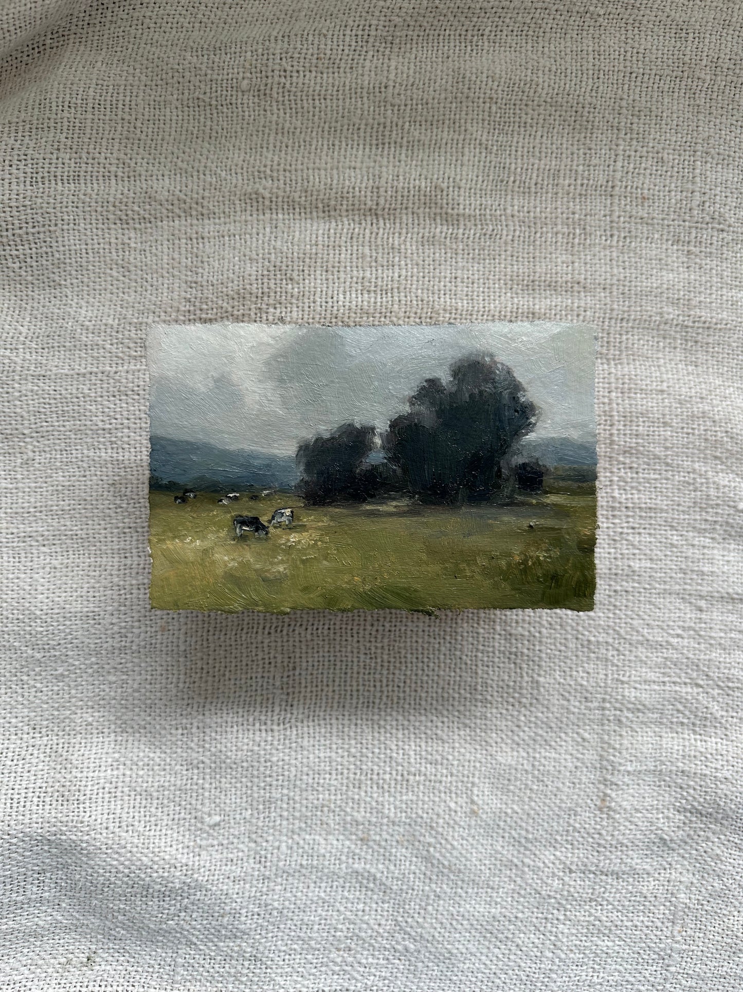 Grazing Meadow