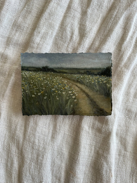 A Field of Hopes
