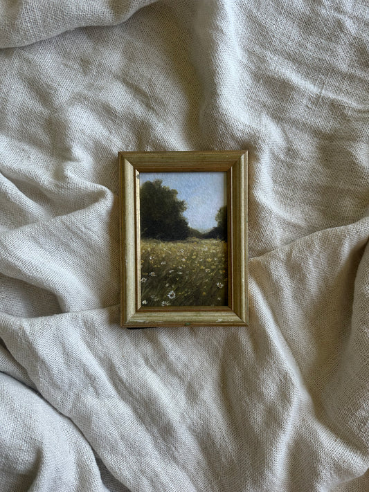 Wildflowers in France Framed Print