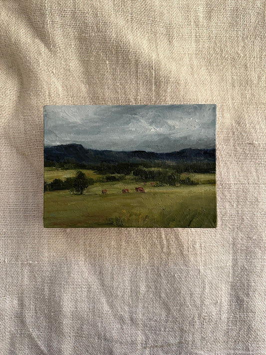 Rain Washed Meadow