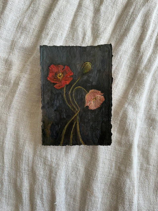 A Love of Light and Texture