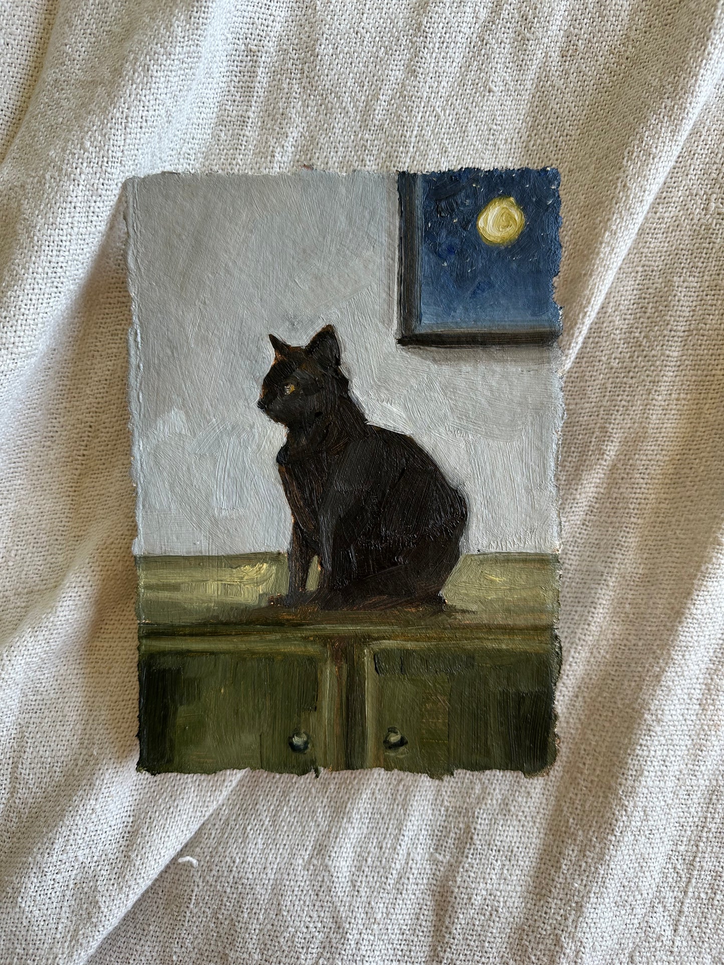 Midnight Cat