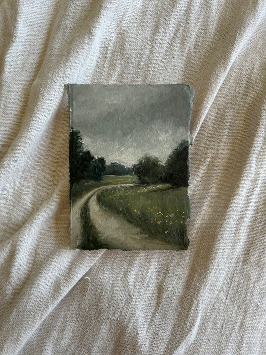 Wildflower Path