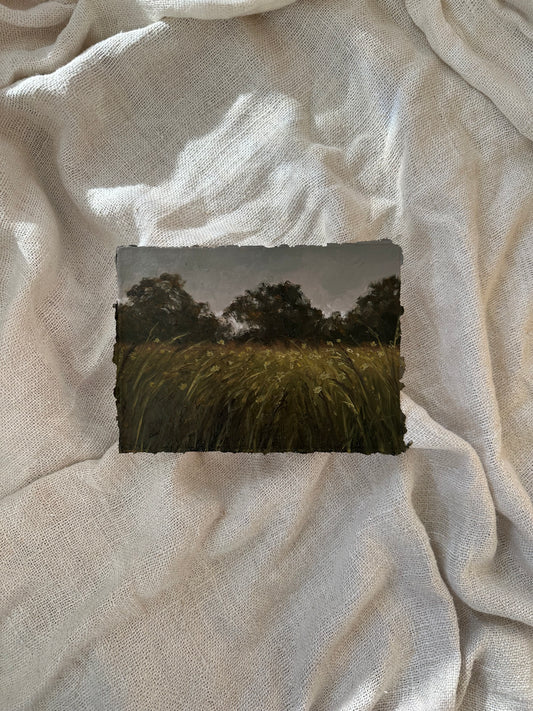 Meadow at Dusk