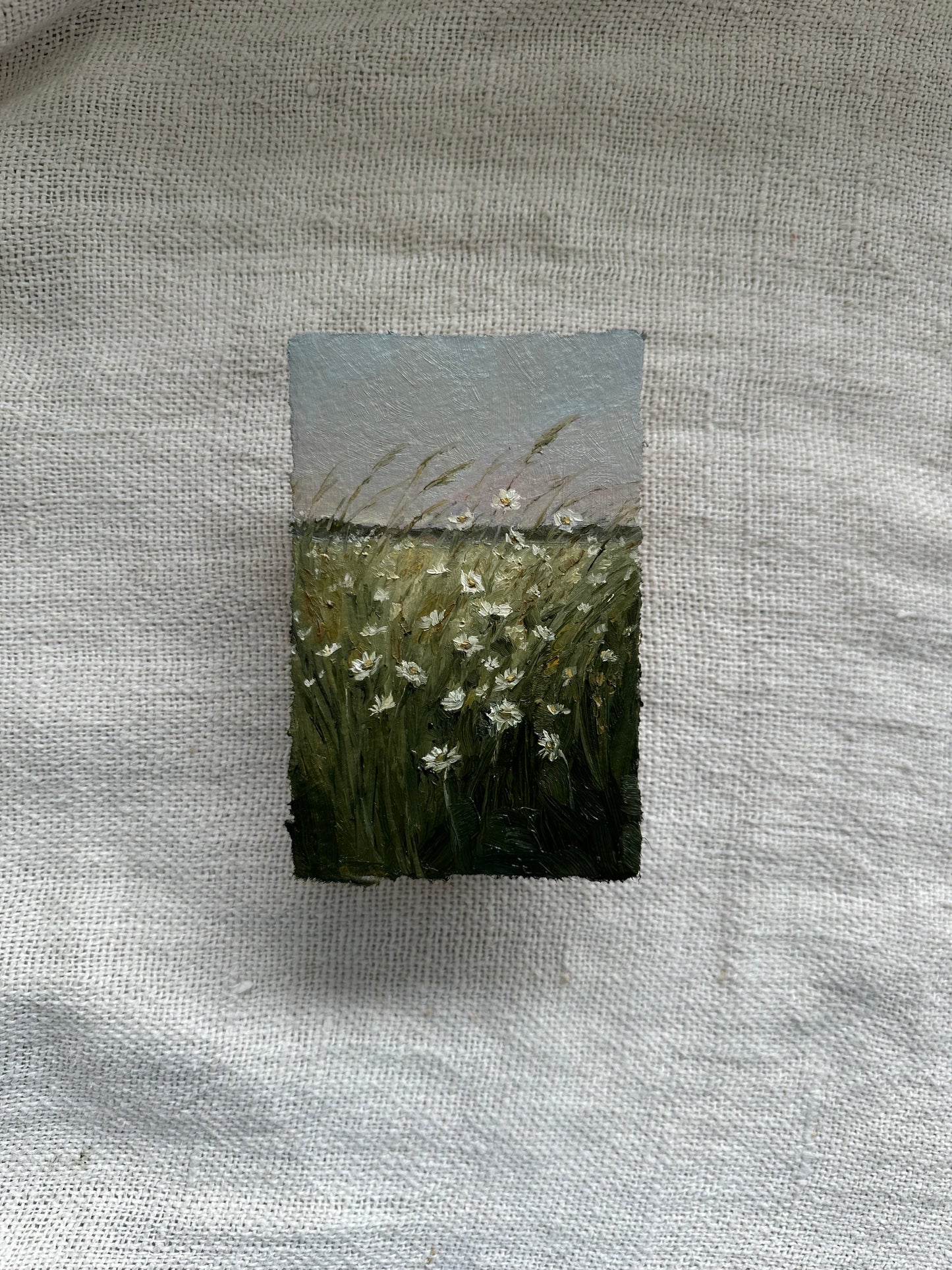 Wildflower Haze