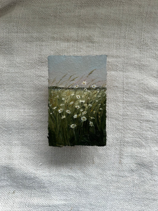 Wildflower Haze