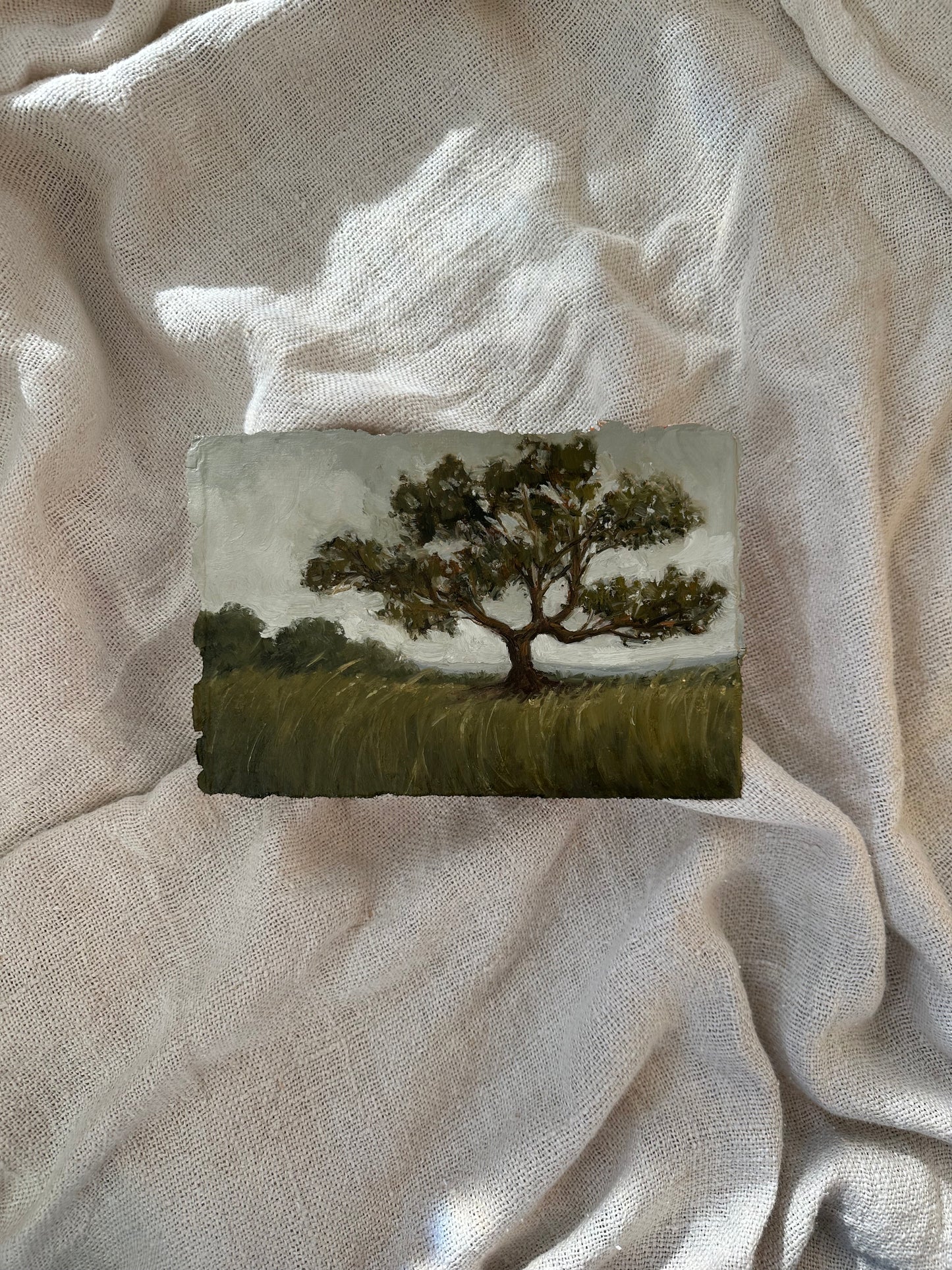 Among the Tall Grass