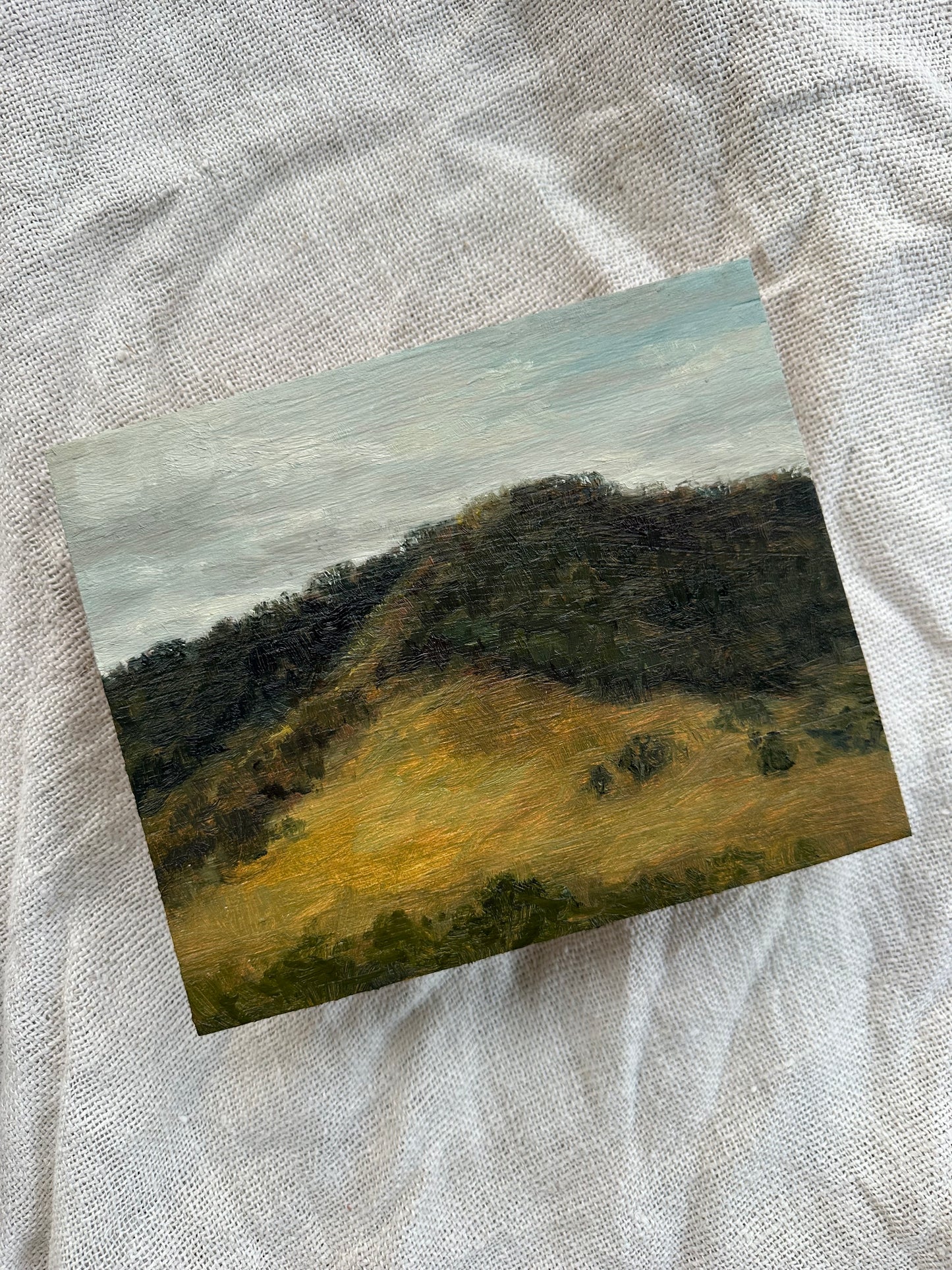 Plein Air Study in Jamberoo