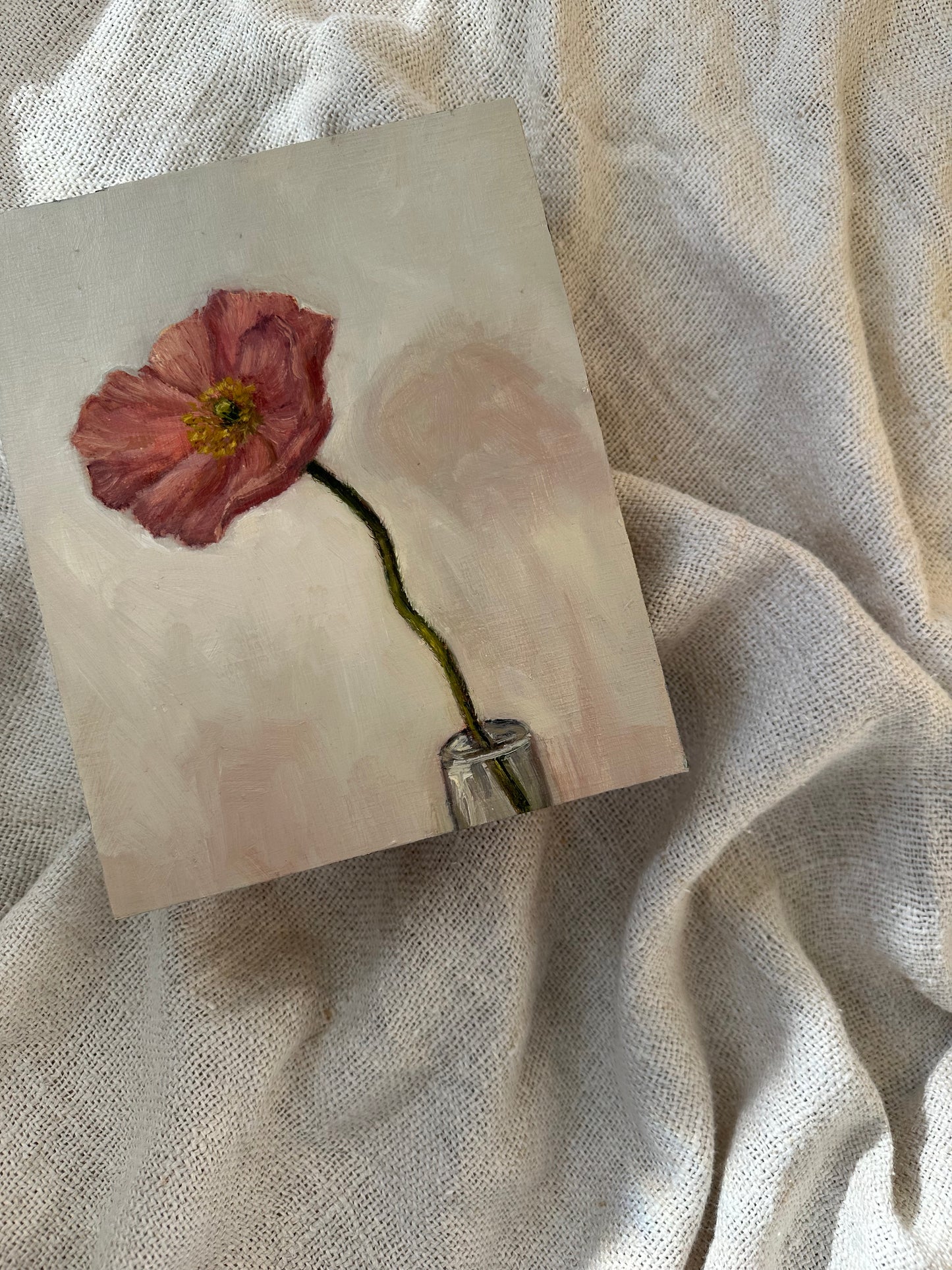 Poppy in Pink