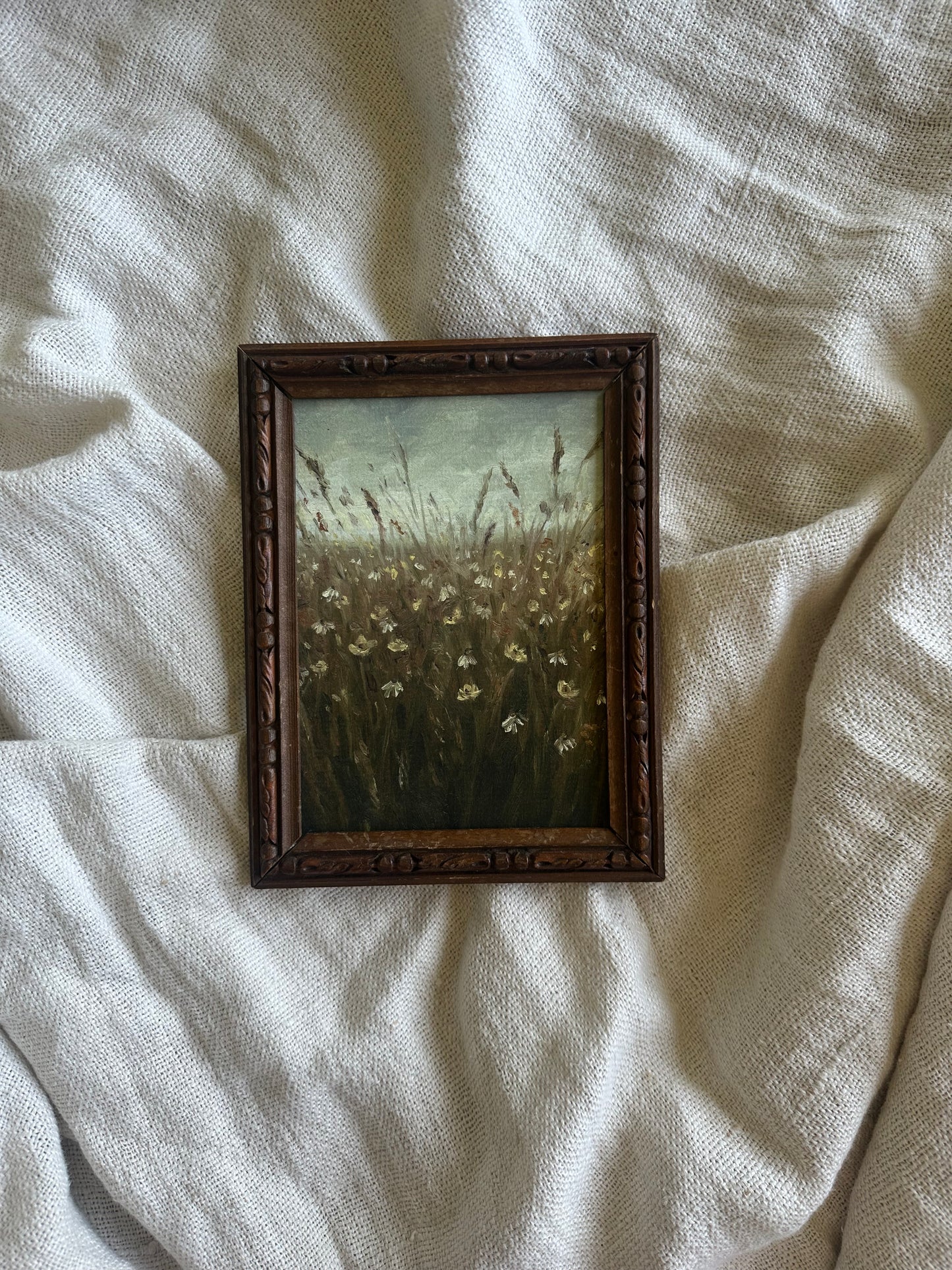 In a Field of my Dreams Framed Print