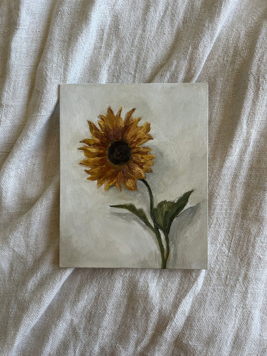Le Tournesol