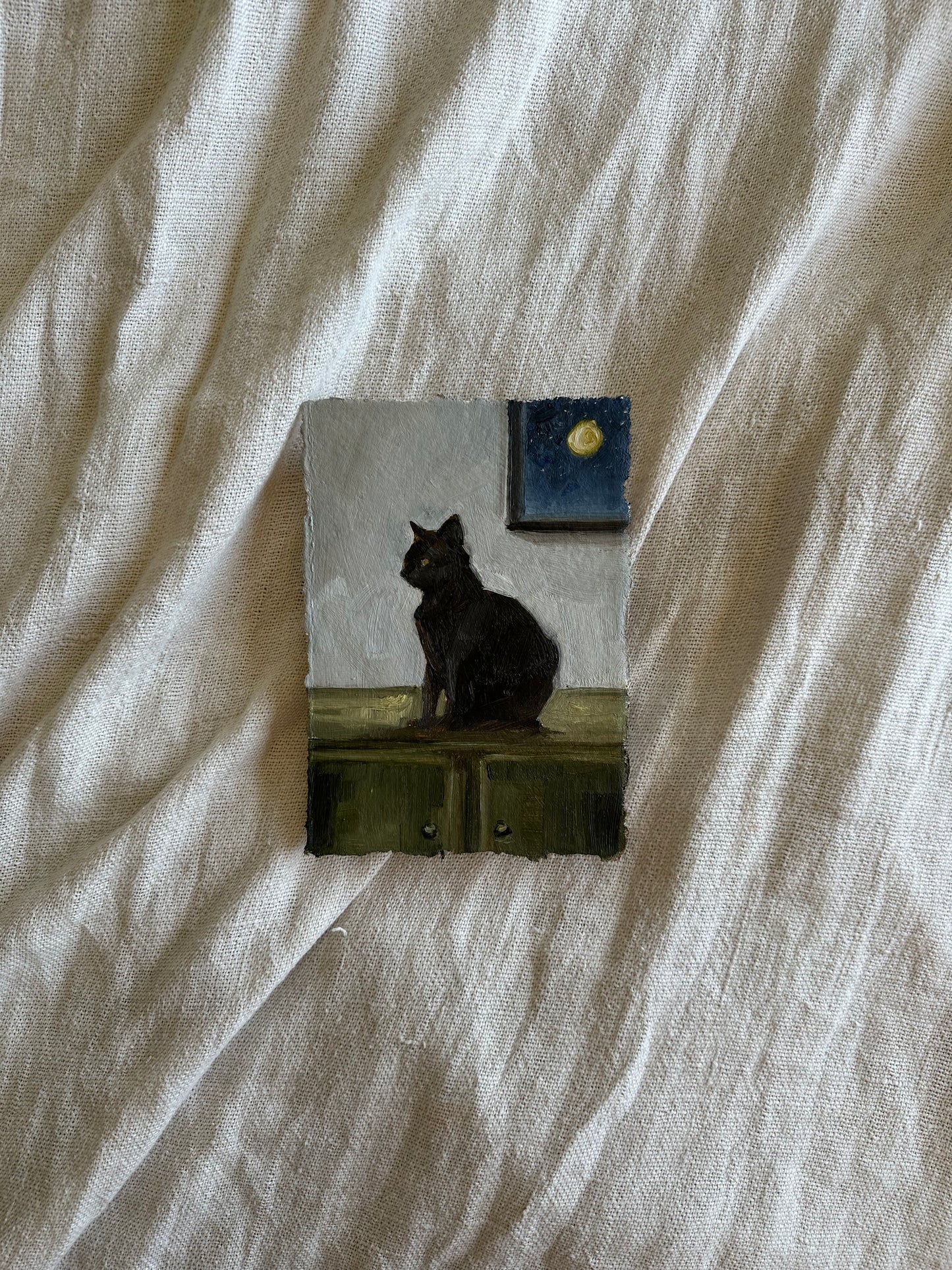 Midnight Cat