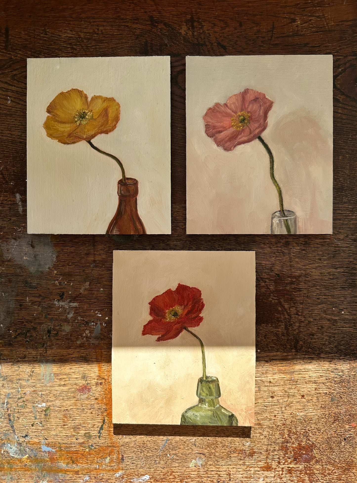 Poppy in Yellow