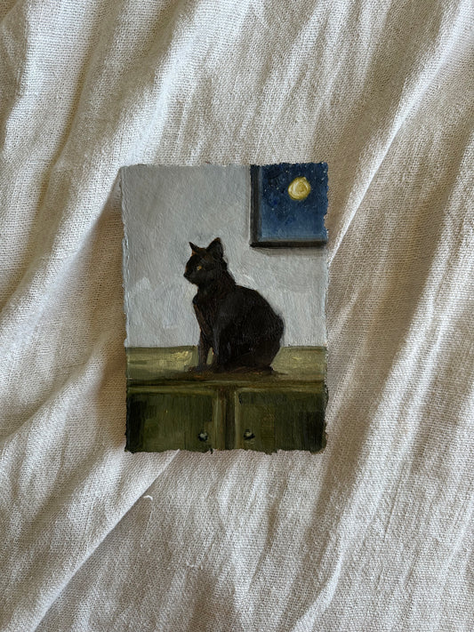 Midnight Cat