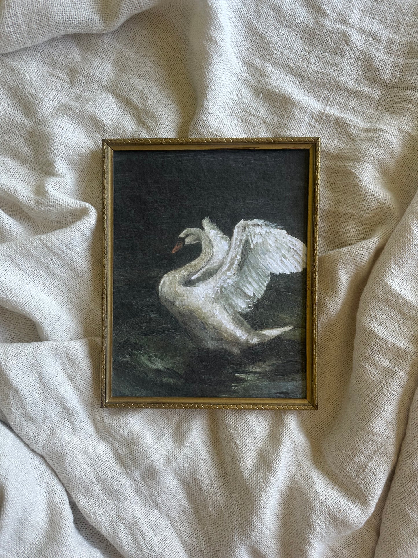 Le Cygne Framed Print
