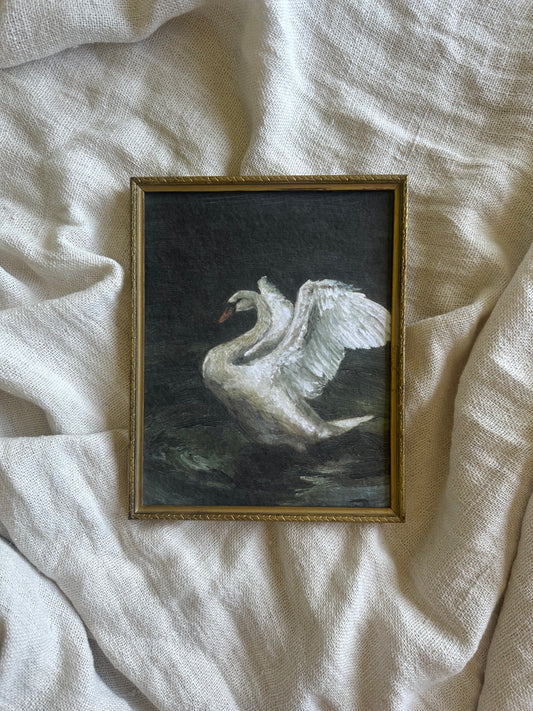 Le Cygne Framed Print